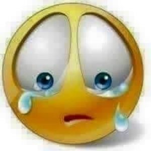 Meet your Posher, Reyes